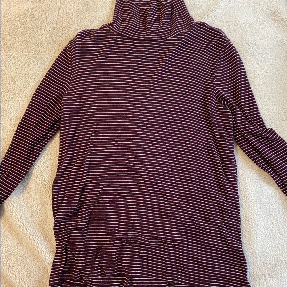 Striped Turtle Neck AE
